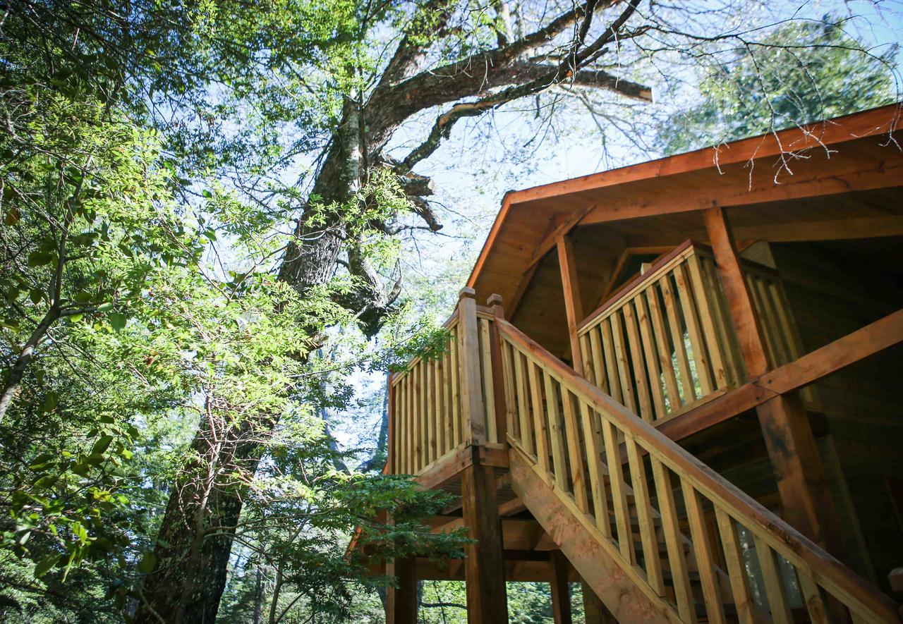 Llaima Camp Βίλα Curacautín Εξωτερικό φωτογραφία