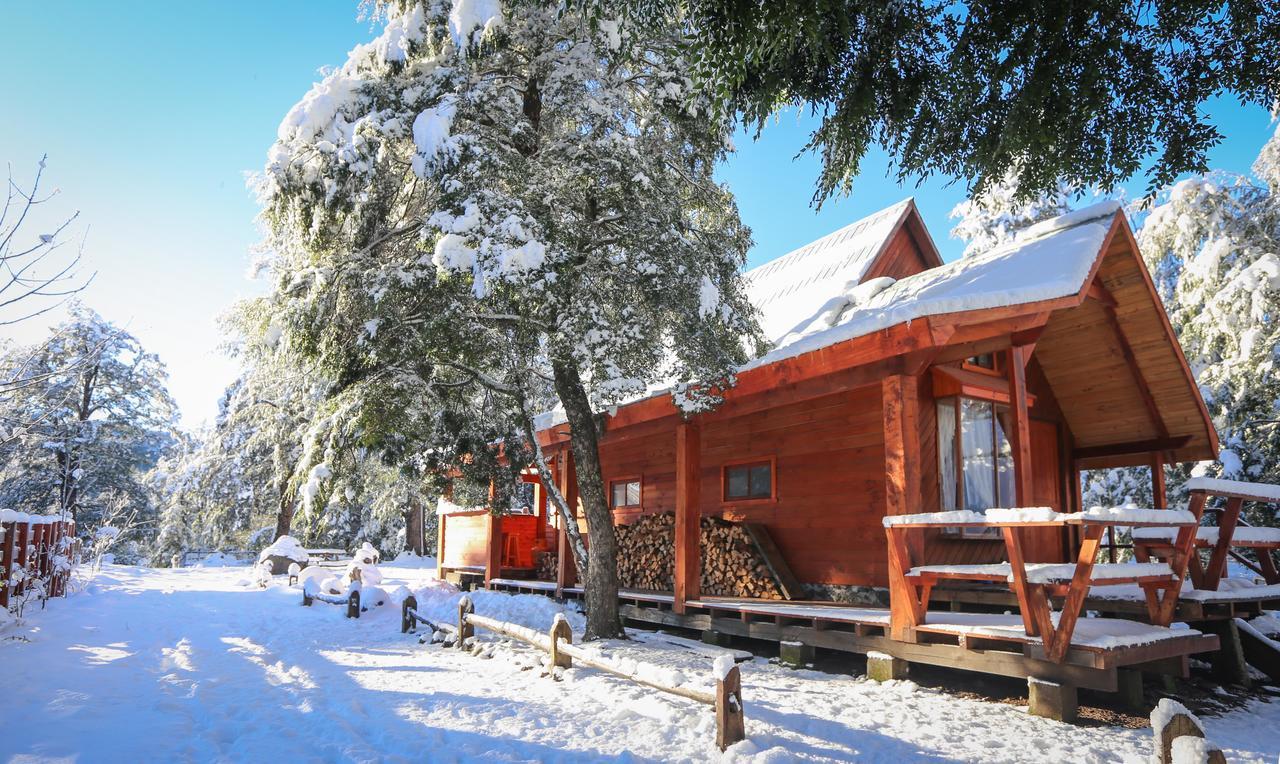 Llaima Camp Βίλα Curacautín Εξωτερικό φωτογραφία